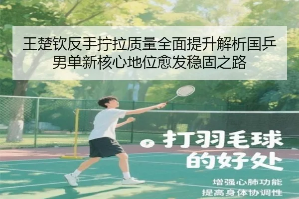 王楚钦反手拧拉质量全面提升解析国乒男单新核心地位愈发稳固之路